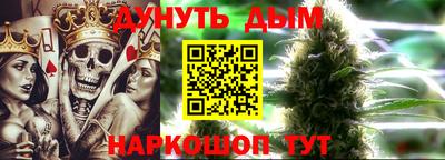 амф Гатчина