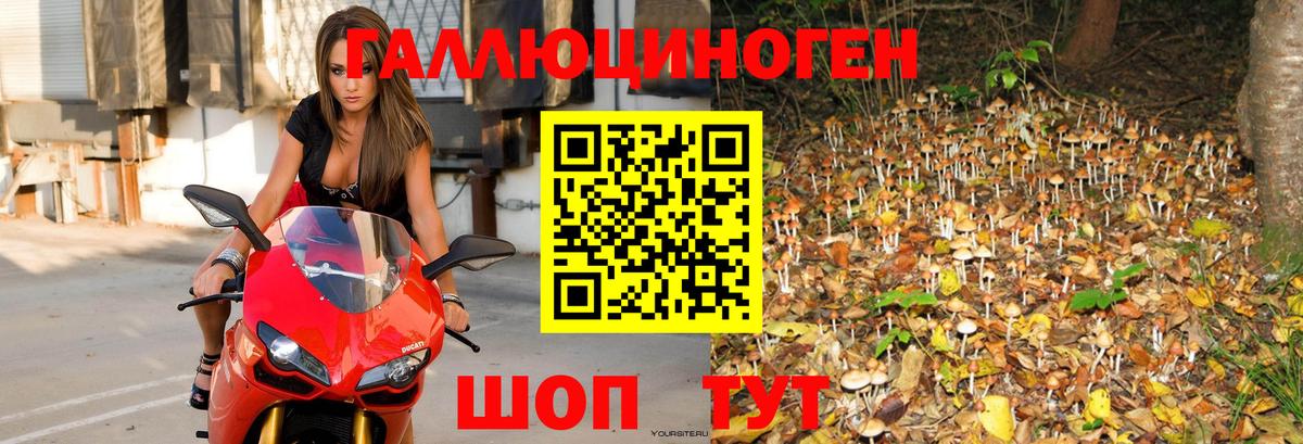 Псилоцибиновые грибы Psilocybine cubensis  Вход с VPN  Галлюциногенные грибы Psilocybe  Новоалтайск 